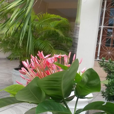 Each Hostel da Amazônia Manaus Zewnętrze zdjęcie