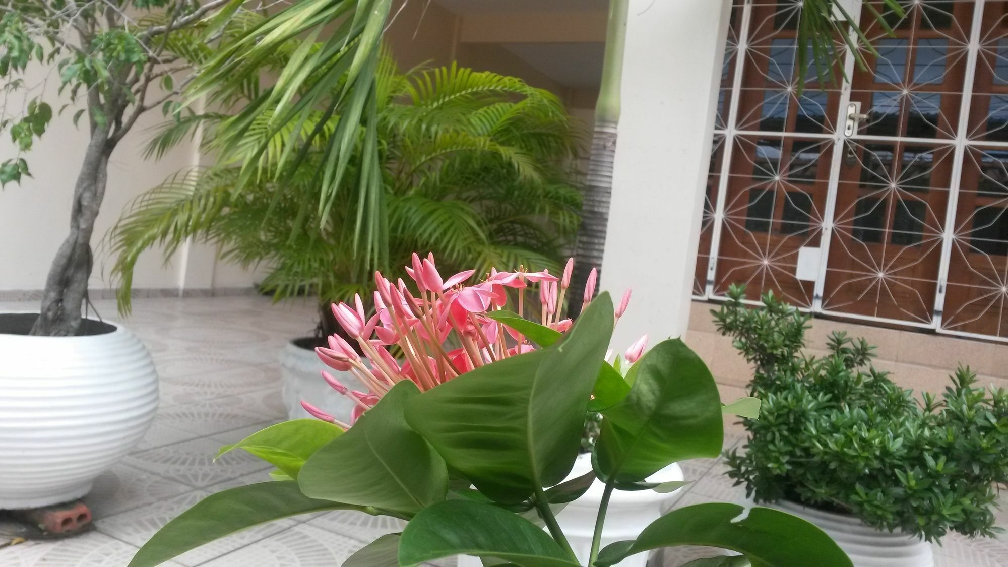 Each Hostel da Amazônia Manaus Zewnętrze zdjęcie